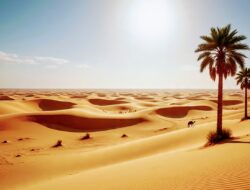 Khulafaur Rasyidin, Empat Khalifah Pertama dalam Sejarah Islam