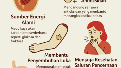 Madu, Manfaatnya untuk Kesehatan Kulit dan Kecantikan