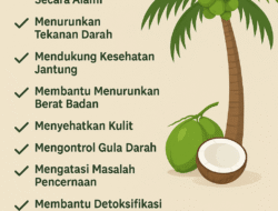 Air Kelapa, Minuman Menyegarkan dengan Ragam Manfaat